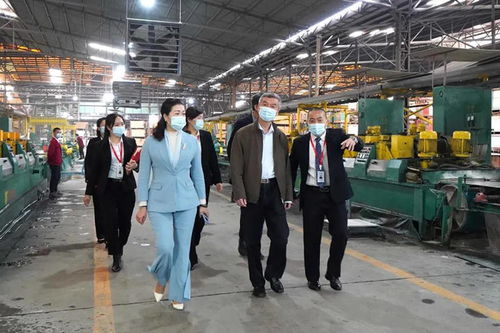 中國(guó)建筑衛(wèi)生陶瓷協(xié)會(huì)會(huì)長(zhǎng)繆斌一行蒞臨方向企業(yè)參觀交流